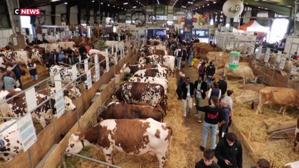 Les agriculteurs, toujours dans l'attente, se sentent délaissés