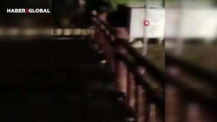 Bursa'da ayının saldırısından son anda böyle kurtuldu: Ayı da gürültüden korktu