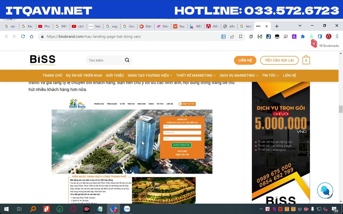 Create domain Hestia CP + Wordpress Management Layout