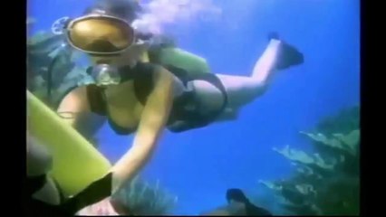 1978 Tintorera HOT ITALIAN MOVIE