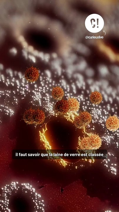 Les idées reçues sur la laine de verre !