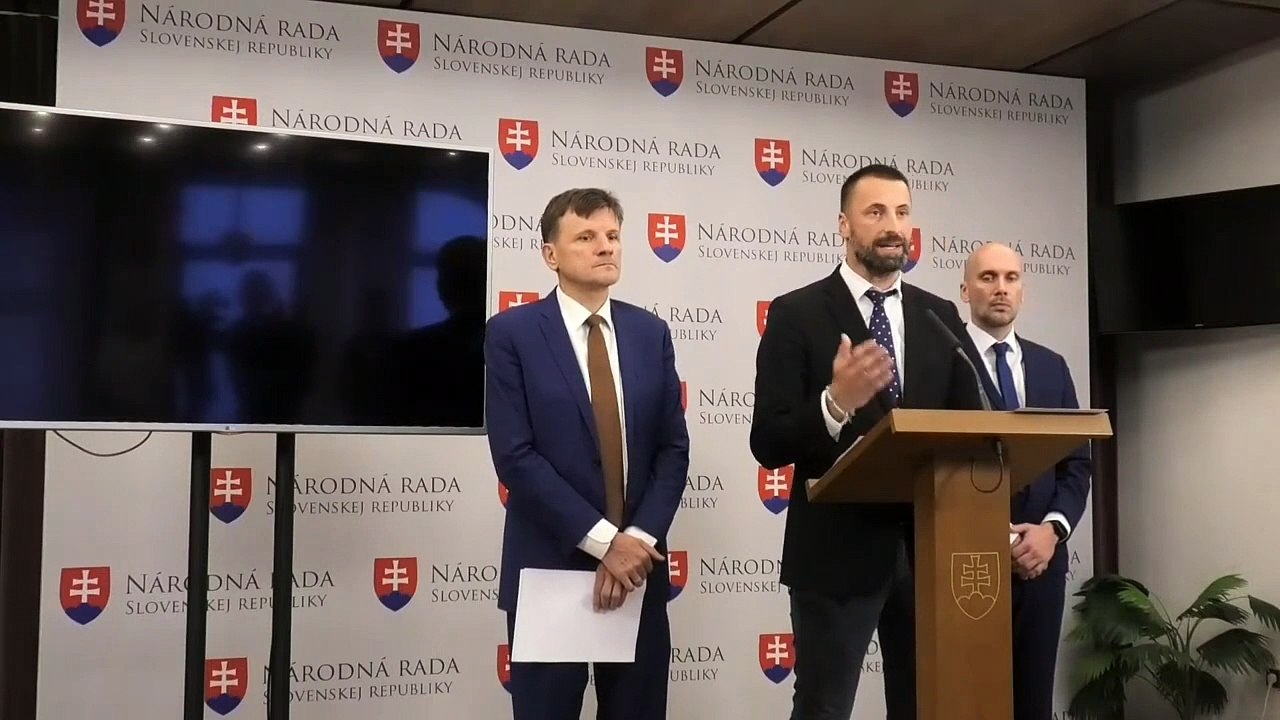 ZÁZNAM: TK strany Sloboda a Solidarita