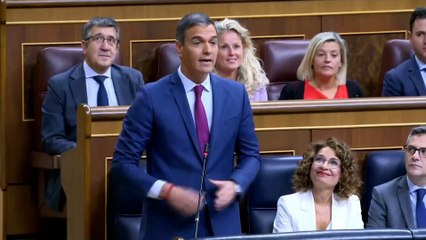 Dos bulos de Sánchez en el Congreso al día siguiente de presentar su plan contra la desinformación