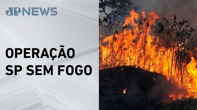 Governo de São Paulo já aplicou R$ 25 milhões em multas por queimadas