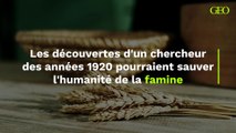 Les découvertes d'un chercheur des années 1920 pourraient sauver l'humanité de la famine