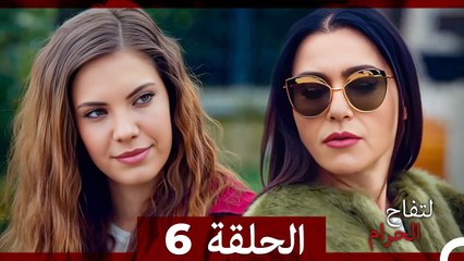 التفاح الحرام الحلقة ال 6 (Arabic Dubbed)