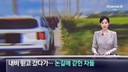 내비 믿고 갔다가…논길에 갇힌 차들