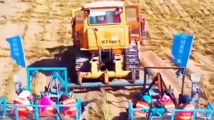 China Turns Desert into Oasis | Revolutionary Green Transformation!