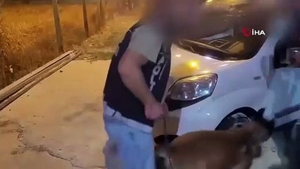  “Narkoçelik-39” Operasyonları: 293 Şüpheli Yakalandı