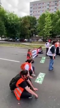 Des conducteur polonais pas très patients face à des activistes écolo