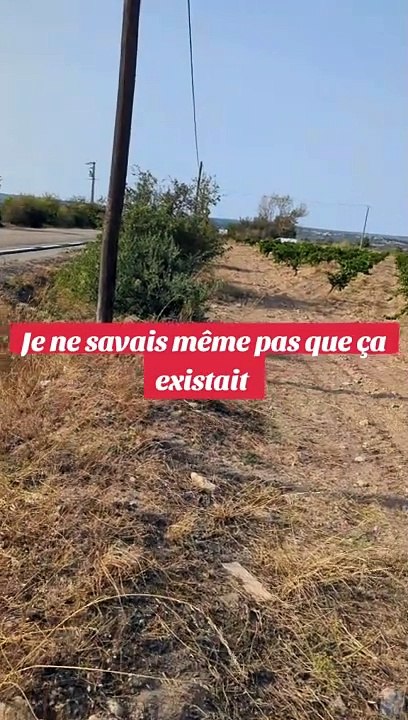 De nouveaux radars quasi invisibles sur les routes françaises ?