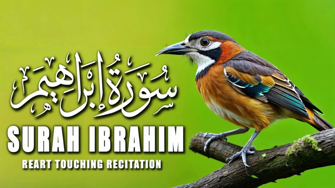 Surah Ibrahim Full |سورة ابراهيم| Most Beautiful Recitation | Tilawat |Quran