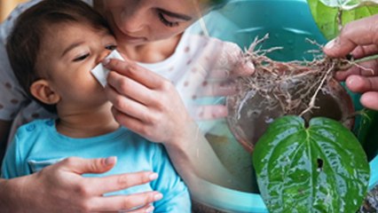 Severe Cough In Kids Home Remedies: Baccho Ka Balgam Kaise Nikale | Boldsky