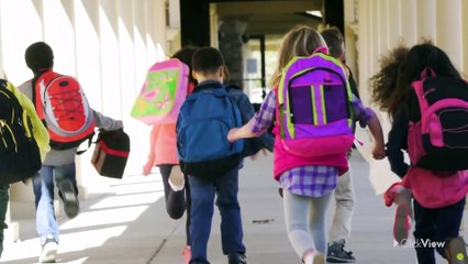 health Lifestyle  Types of Muscles