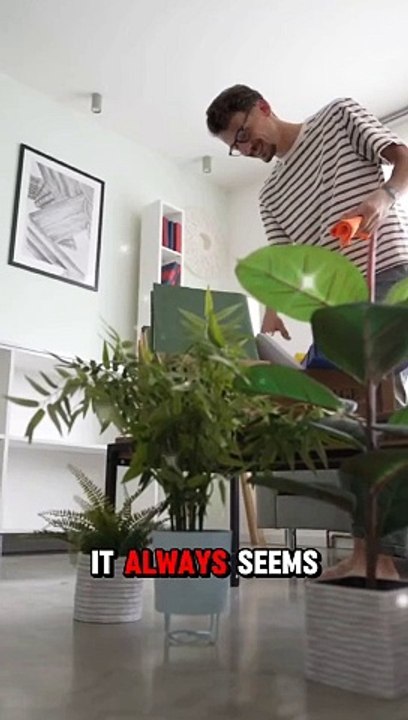 #motivation #viralshorts #viralreels #quotes #reel