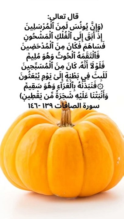 لا اله الا انت سبحانك اني كنت من الظالمين