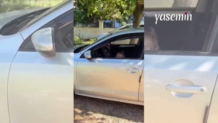 Minik kızın tatlı cevabı akıma son noktayı koydu!