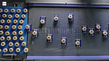 Servizio Border - Robotica