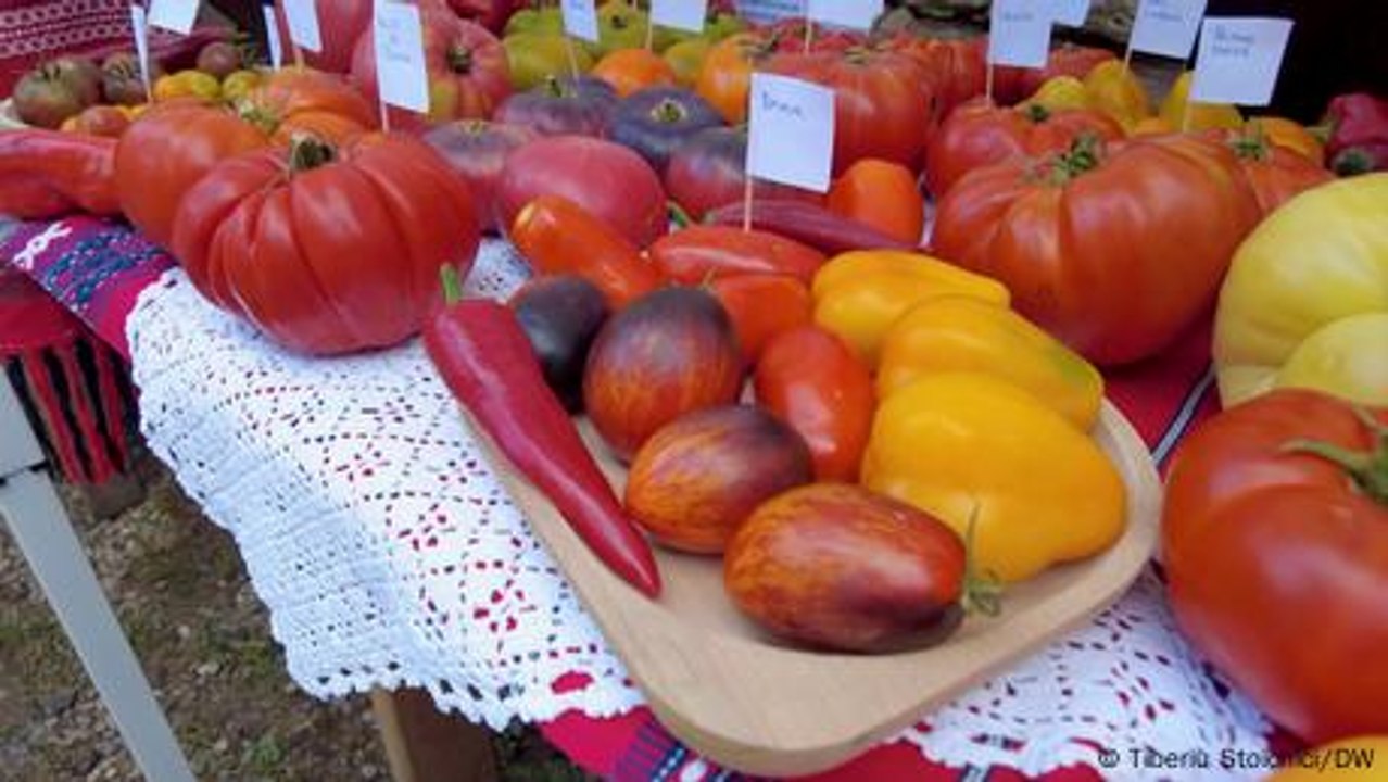 Rumänien: Hobbygärtner und Selbstversorger im Trend