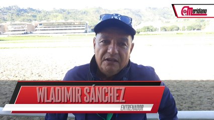 Hipismo con Wladimír Sánchez: Tu Entrenador de Confianza 🐎