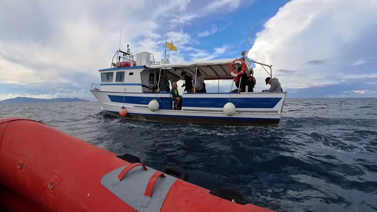 Nel mare toscano c'? la Casa dei Polpi: Giovanni di Aldo Giovanni e Giacomo sostiene il progetto