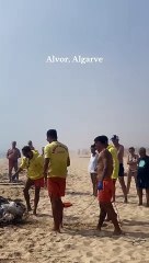 Tartaruga gigante dá à costa sem vida na praia de Alvor. As imagens