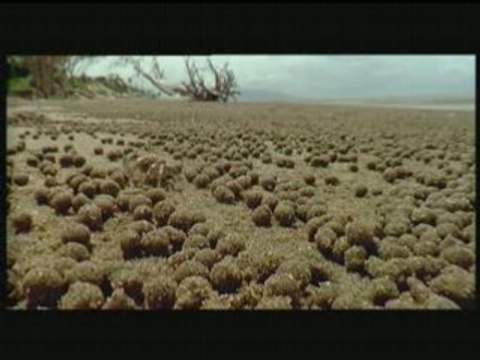 Au Coeur des Océans (7/8)