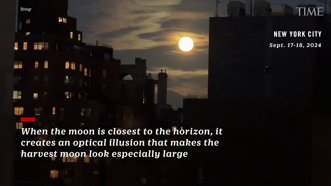 Watch: Rare Harvest-Blood-Supermoon Lights Up the Sky Across the World