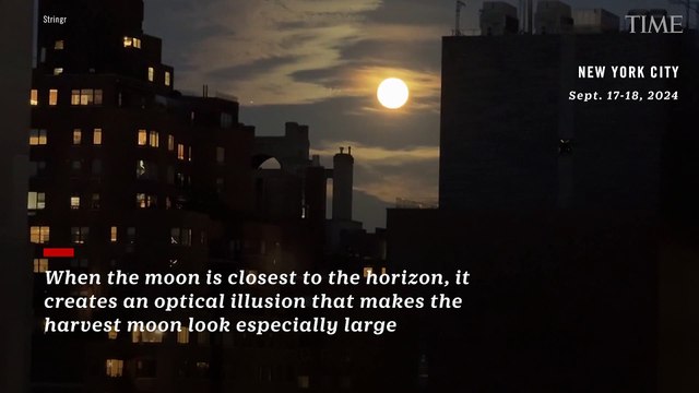 Watch: Rare Harvest-Blood-Supermoon Lights Up the Sky Across the World