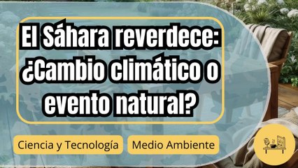 El desierto del Sáhara reverdece: ¿Cambio climático o ciclo natural?