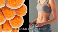 Unlocking the Power of Brown Fat: New Research Reveals Weight Loss Secrets
