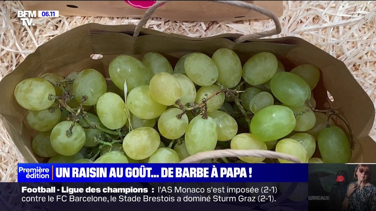 "Cotton Candy": un raisin goût barbe à papa cartonne sur les réseaux sociaux et dans les magasins
