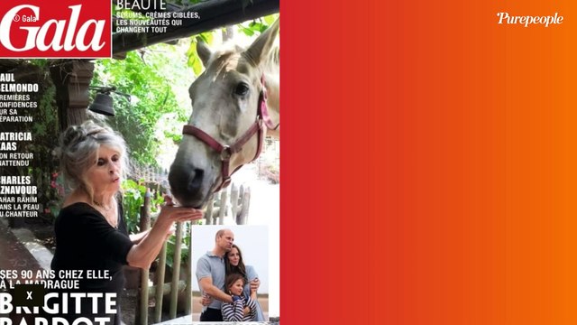 Jean-Louis Aubert installé dans un magnifique moulin situé non loin d'une ville historique : il se confie sur son refuge