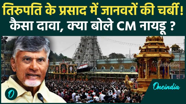 Tirupati Laddu News: तिरुपति के लड्डू में जानवरों की चर्बी! TDP | Chandrababu Naidu | वनइंडिया हिंदी