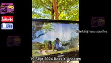 [Eng Sub] 19 Sept 2024 Boss IG Live Part 2 #IGLivewithBossCKM #บอสโนอึล #bossnoeul #BoNoH
