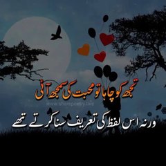 Tujh ko chaha to mohabbat ki smajh aai heart touching  urdu Poetry