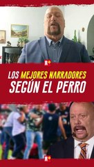 Los MEJORES NARRADORES según el PERRO BERMÚDEZ