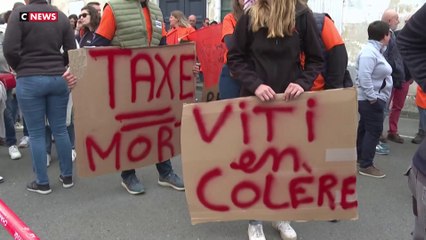 Le cognac victime des tensions entre la Chine et l'Union européenne