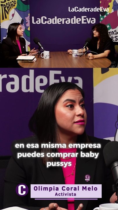 Este es el problema con los robots sexuales