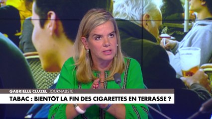 Download Video: Gabrielle Cluzel, à propos d'une possible interdiction des cigarettes en terrasse : «Plus la société est démunie, plus on tape sur la tête des gens ordinaires dans leurs gestes du quotidien»