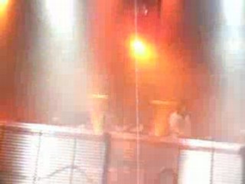 artefact birdy nam nam