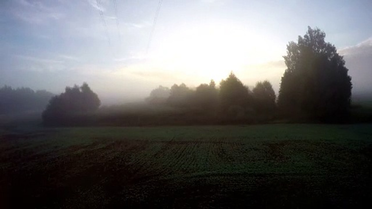 Sourate Al-Falaq (Sourate 113 : L’Aube Naissante) :