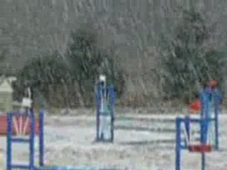 Neige et grêle - en avril 2008 à Vienne