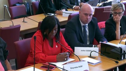 Commission des affaires étrangères : M. Pierre Heilbronn, envoyé spécial du président de la République française pour l’aide et la reconstruction de l’Ukraine - Mercredi 18 septembre 2024