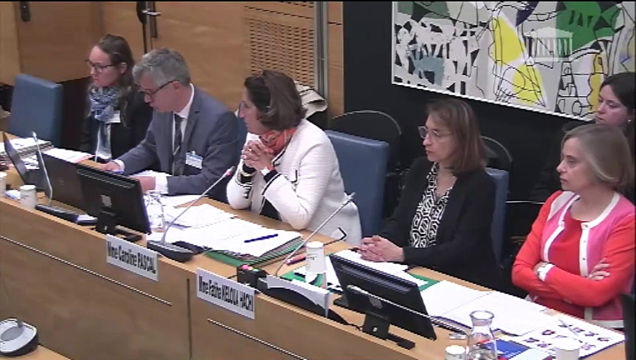 Commission des affaires culturelles : Mme Caroline Pascal, directrice générale de l’enseignement scolaire, sur la rentrée scolaire - Mercredi 18 septembre 2024