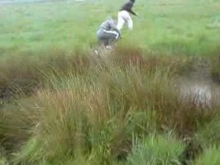 chasse o canard
