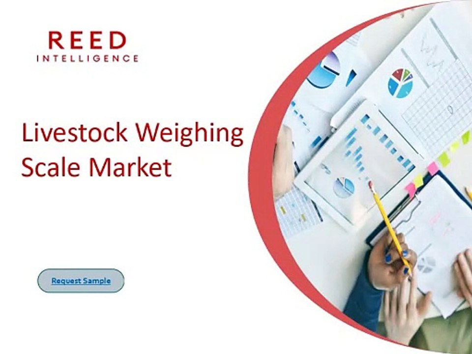 Livestock Weighing Scale