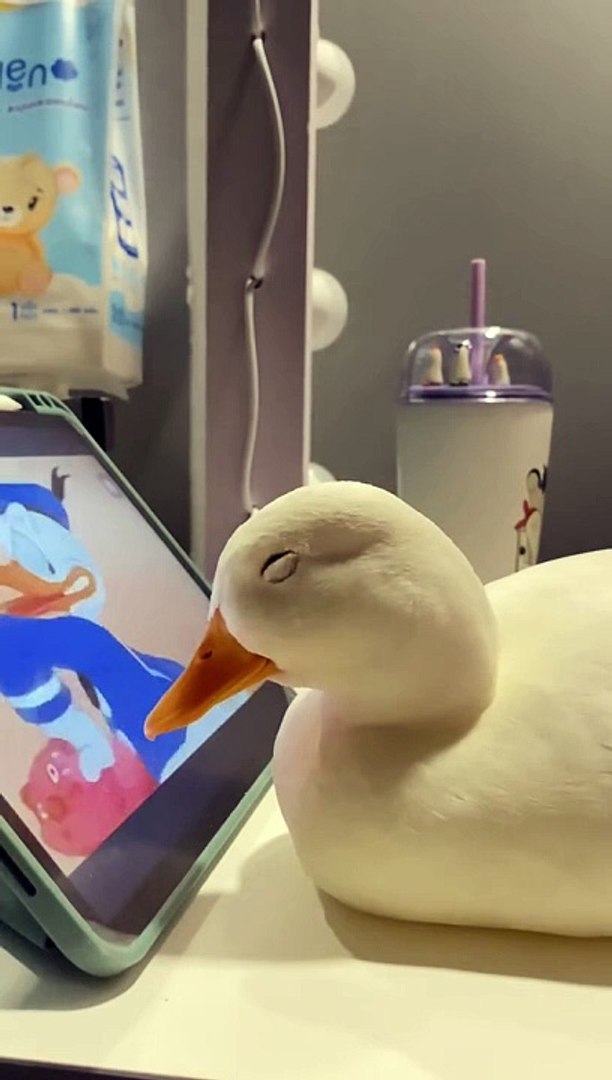 Donald watch Donald