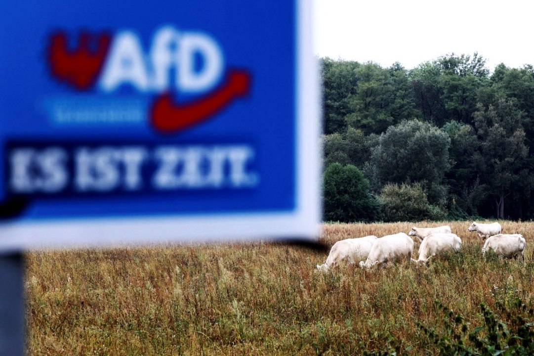 Brandenburg-Wahl: SPD-Niederlage und AfD-Sieg erwartet