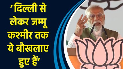 Srinagar की रैली में PM Modi ने फिर ‘तीन खानदानों’ का जिक्र कर विपक्ष पर साधा निशाना